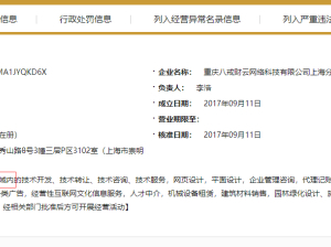 深入剖析重慶豬八戒網(wǎng)絡(luò)的優(yōu)缺點 真正的網(wǎng)絡(luò)信息咨詢指南