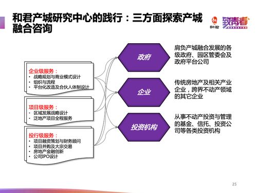 產(chǎn)城融合的全景審視 產(chǎn)業(yè)驅(qū)動、城市服務(wù)與網(wǎng)絡(luò)信息咨詢實踐