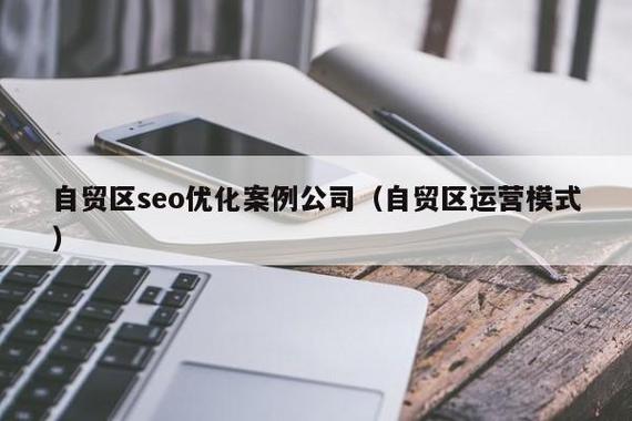 自貿(mào)區(qū)seo優(yōu)化案例公司